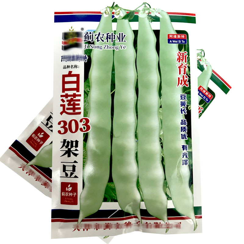 白莲303架豆种子蔓生200g豆荚长有光泽嫩荚绿白色