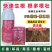 吲哚萘乙酸生根剂植物生长调节剂提高成活率扦插移栽促生根
