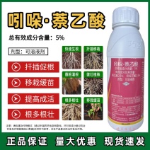 吲哚萘乙酸生根剂植物生长调节剂提高成活率扦插移栽促生根