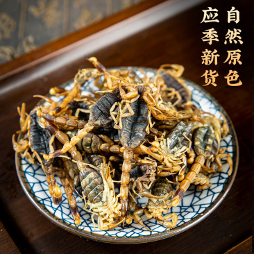 正品清水全蝎中药材正宗新货十足全干蝎子干整条无盐水洗全虫