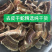 中药材去皮养殖食用乌梢蛇正宗乌稍蛇肉退皮乌蛇