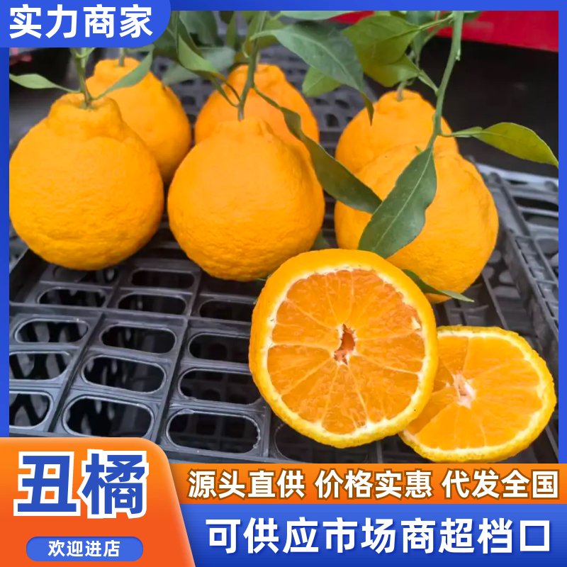 【推荐】丑橘不知火柑桔货源充足果品上乘货真价实