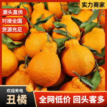 【好评多多】不知火柑桔丑橘产地直发保质保量