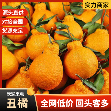 【好评多多】不知火柑桔丑橘产地直发保质保量
