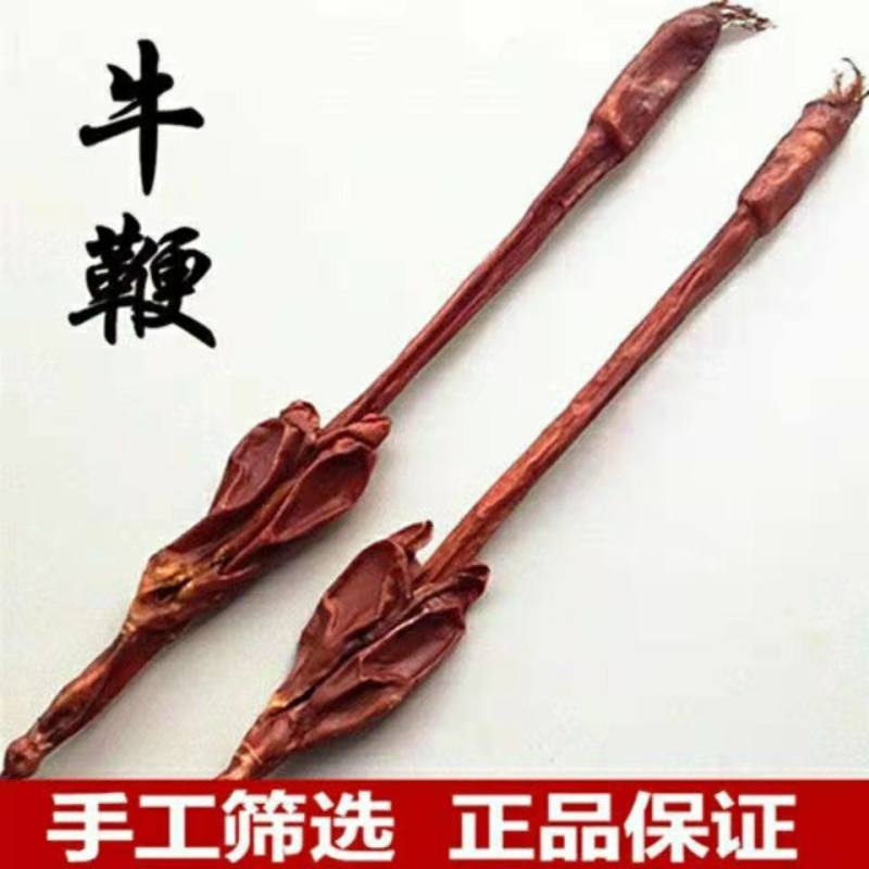 牛鞭中药材一条带睾蛋男性滋补泡酒煲汤原料