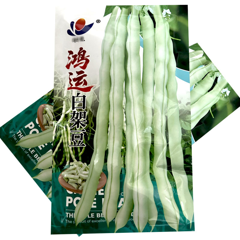 鸿运白架豆种子白花白芸豆中早熟结荚多荚嫩无筋
