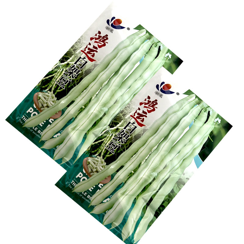 鸿运白架豆种子白花白芸豆中早熟结荚多荚嫩无筋