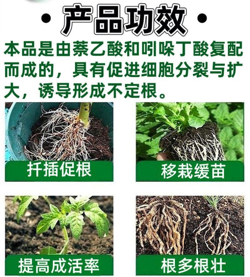 吲丁萘乙酸植物生长调节剂生根壮苗提高成活率扦插移栽生根剂