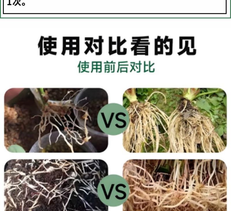 吲丁萘乙酸植物生长调节剂生根壮苗提高成活率扦插移栽生根剂