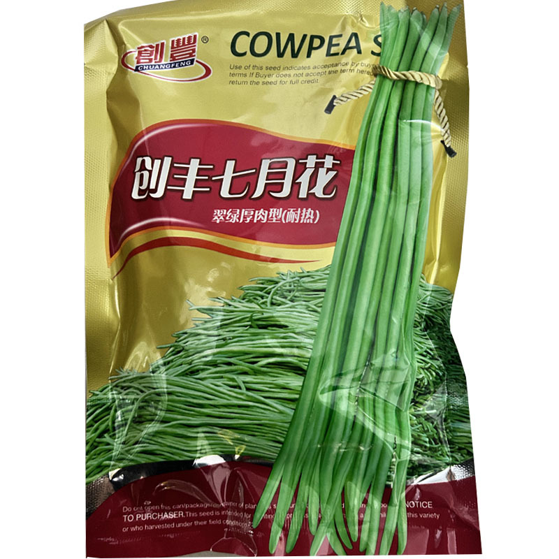创丰七月花长豇豆种子200g荚色翠绿叶片中大抗逆抗病
