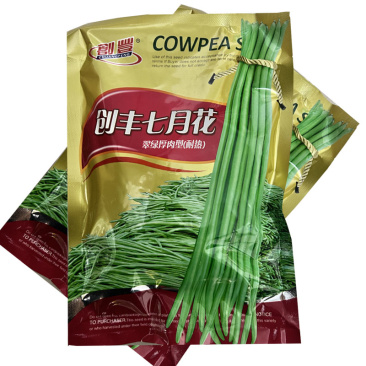 创丰七月花长豇豆种子200g荚色翠绿叶片中大抗逆抗病