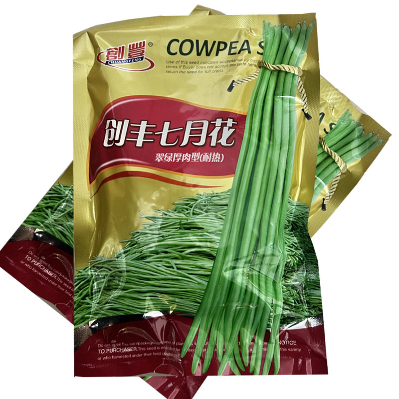 创丰七月花长豇豆种子200g荚色翠绿叶片中大抗逆抗病