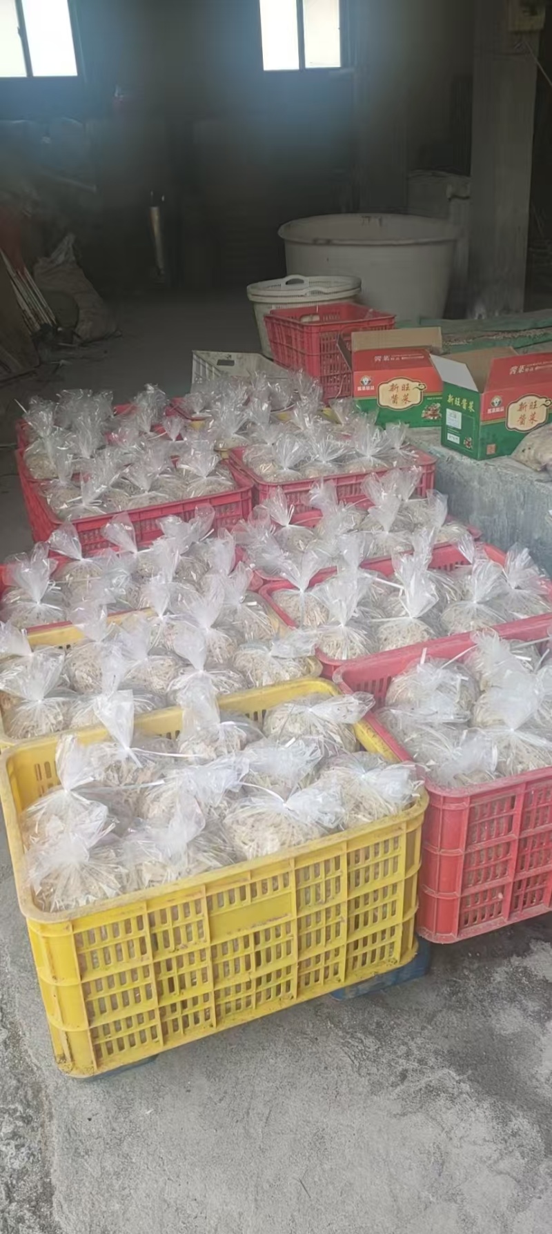山东芥菜丝厂家直发全国发货一手货源保质保量