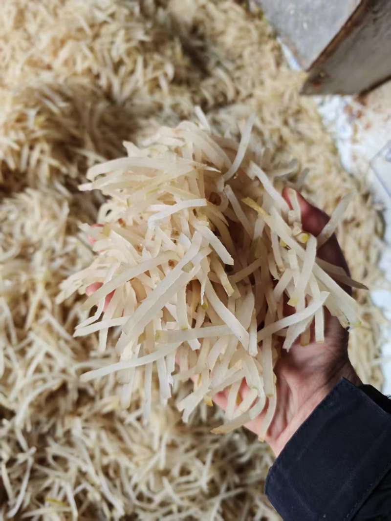 山东芥菜丝厂家直发全国发货一手货源保质保量