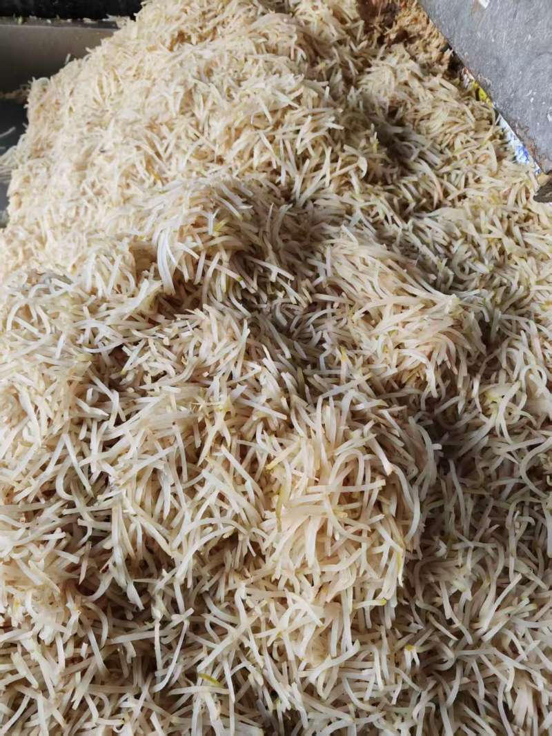 山东芥菜丝厂家直发全国发货一手货源保质保量