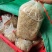 山东芥菜丝厂家直发全国发货一手货源保质保量