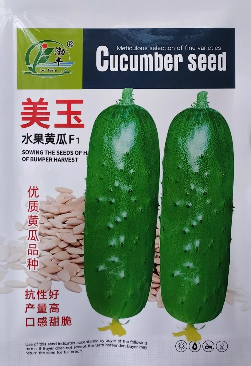 美玉水果黄瓜种子口感甜脆高产早熟果肉脆嫩优质翠绿短棒黄瓜