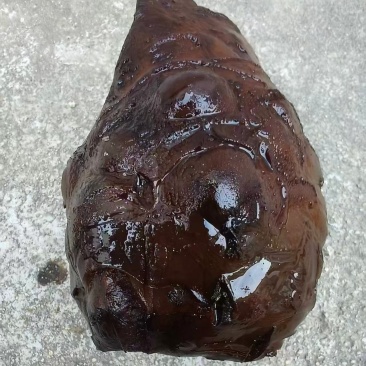 芥菜头黑疙瘩接受订货大量供应保质保量厂家发货