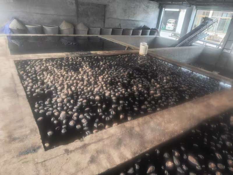 芥菜头黑疙瘩接受订货大量供应保质保量厂家发货