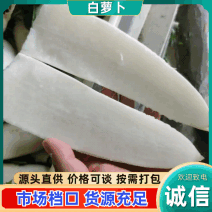 四川精品【白萝卜】出口品质/检测达标/对接商超及店商
