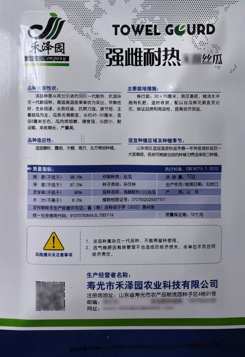 强雌耐热丝瓜种子荷兰引进高产抗病早熟特长丝瓜种籽春秋大棚
