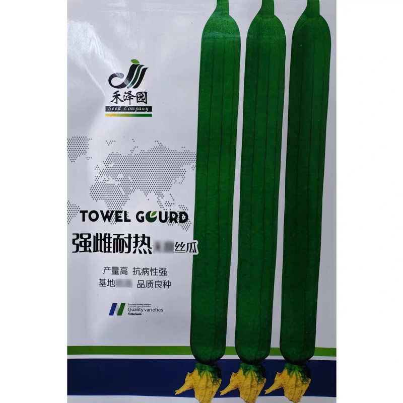 强雌耐热丝瓜种子荷兰引进高产抗病早熟特长丝瓜种籽春秋大棚