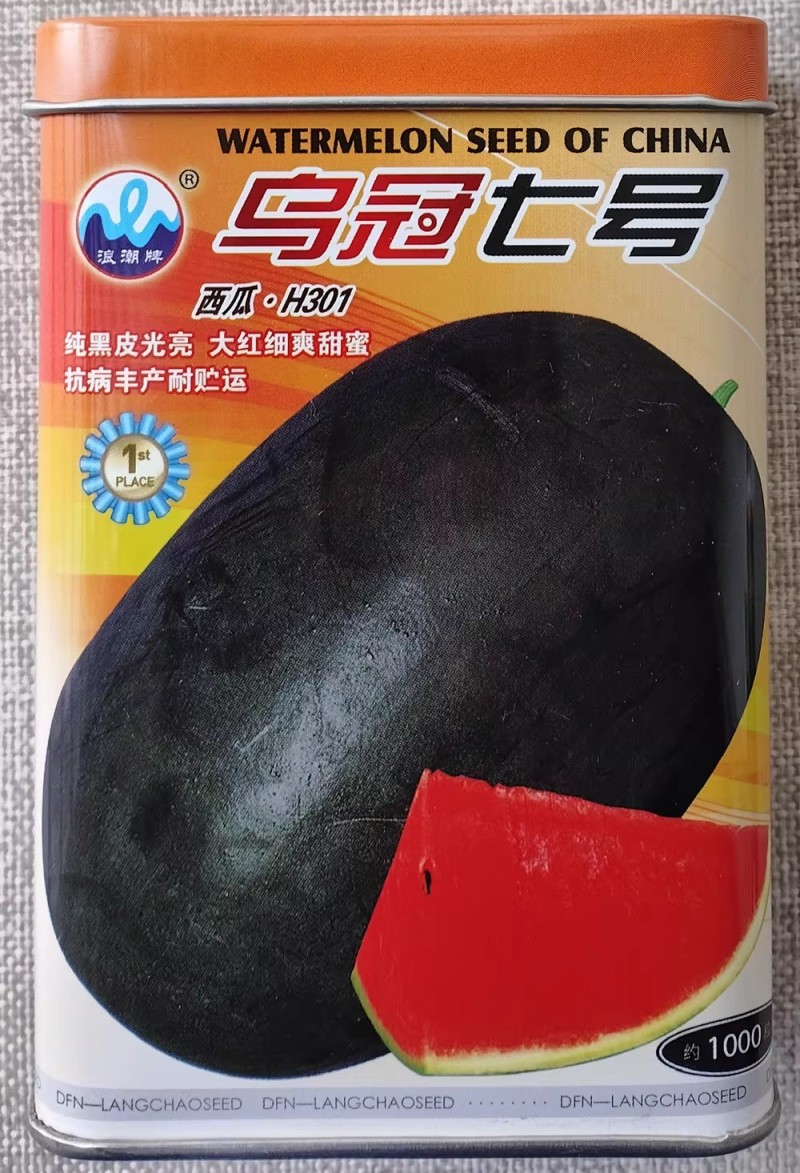 浪潮乌冠七号西瓜种子中熟油亮黑皮大果西瓜种籽抗病高产甜蜜