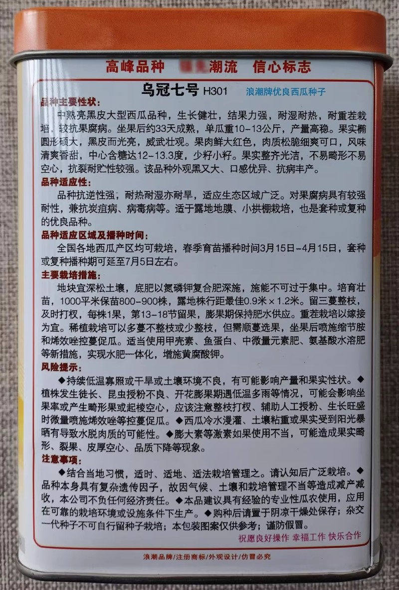 浪潮乌冠七号西瓜种子中熟油亮黑皮大果西瓜种籽抗病高产甜蜜