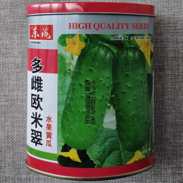 多雌欧米翠水果黄瓜种子亮绿薄皮脆嫩清香强雌久绿短棒黄瓜种