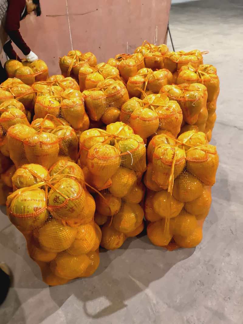 精品柚子大量供应产地直发价格优惠支持视频看货欢迎来电
