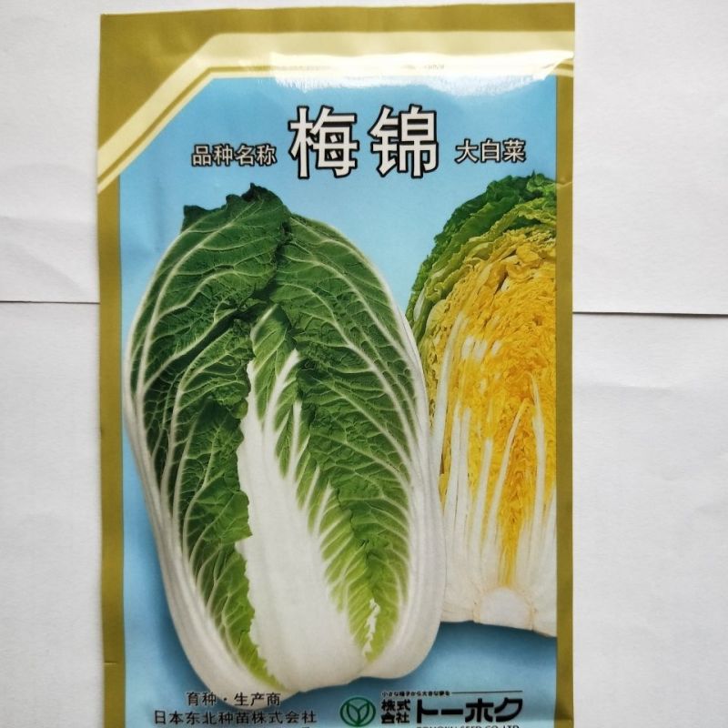 梅锦大白菜种子不易抽苔易栽培黄芯早熟丰产抗病白菜种子