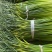 山东精品白帽蒜薹对接电商市场商超一手货源可视频