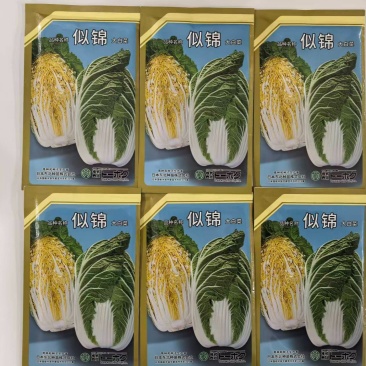 似锦大白菜种子黄芯耐抽苔耐干烧心抗病耐低温早熟春秋白菜种