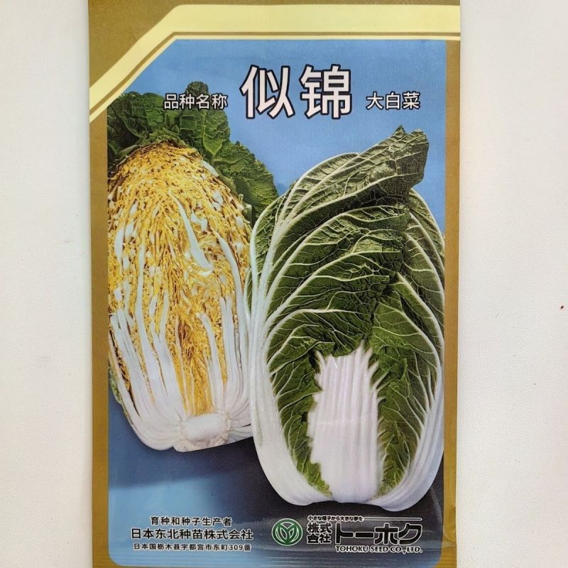似锦大白菜种子黄芯耐抽苔耐干烧心抗病耐低温早熟春秋白菜种