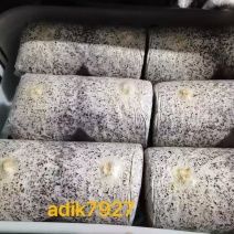 两朵金耳菌包