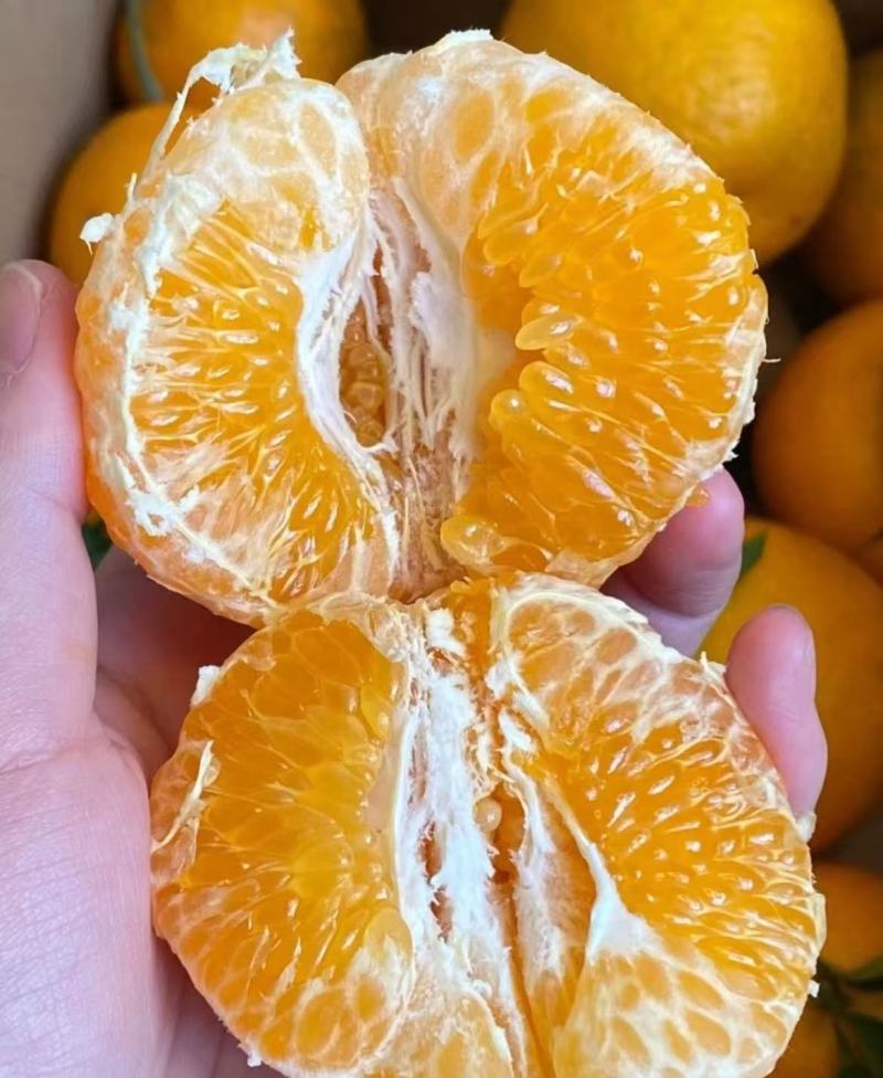 春见耙耙柑大量上市自贡富顺耙耙柑