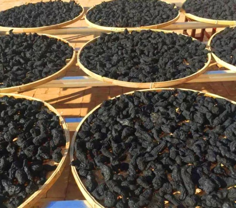 河南焦作九蒸九晒的熟地黄，可批发可零售，保质量