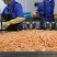 四川精品鸭肠嫩脆爽口/肉感强/可烫火锅/爆炒/烫熟即食