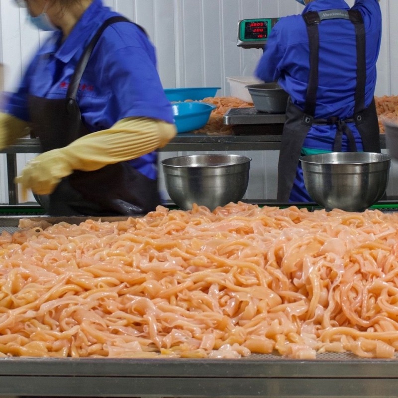 四川精品鸭肠嫩脆爽口/肉感强/可烫火锅/爆炒/烫熟即食