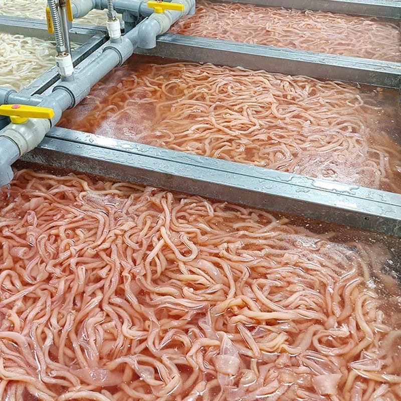 四川精品鸭肠嫩脆爽口/肉感强/可烫火锅/爆炒/烫熟即食