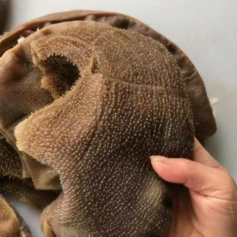 牛副产品/大叶精品毛肚/5斤一包/量大价优/一手货源