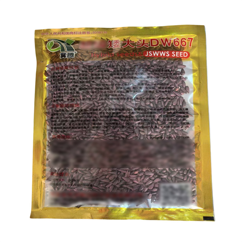 矮大头DW667油葵种子高产耐盐碱杂交油用向日葵种子