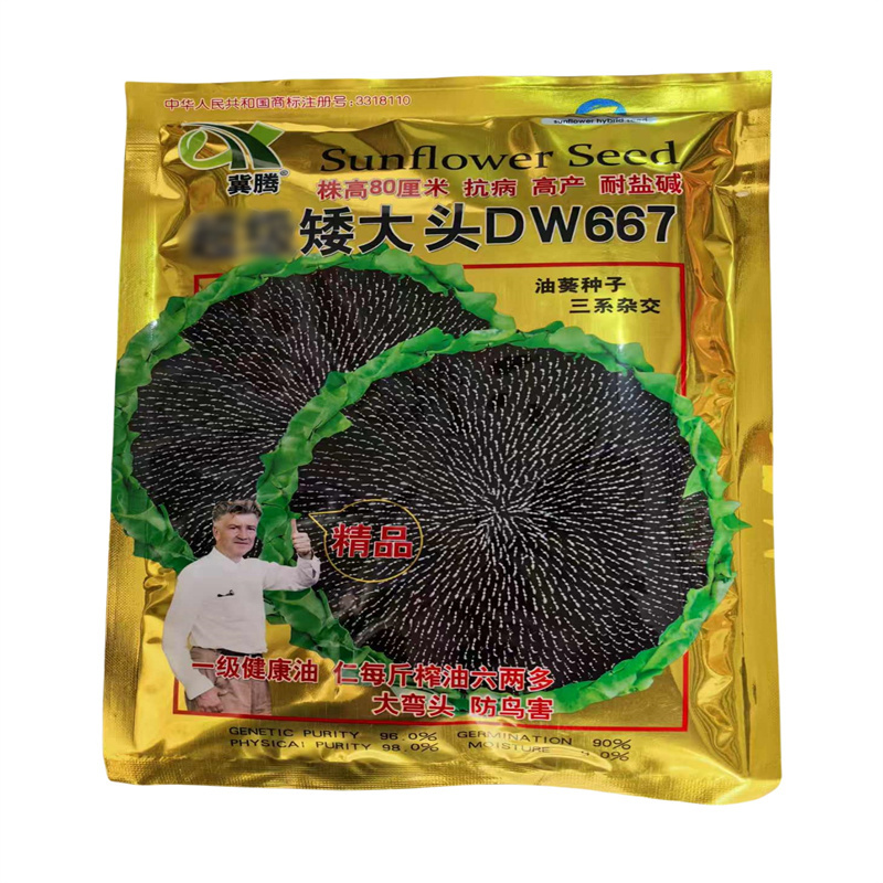 矮大头DW667油葵种子高产耐盐碱杂交油用向日葵种子