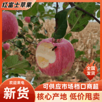 【实力推荐】红富士苹果脆甜多汁万亩果园支持全国发货