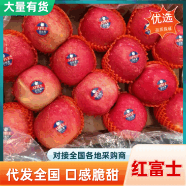 山东水晶红富士品种齐全脆甜爽口品质保证代发代收