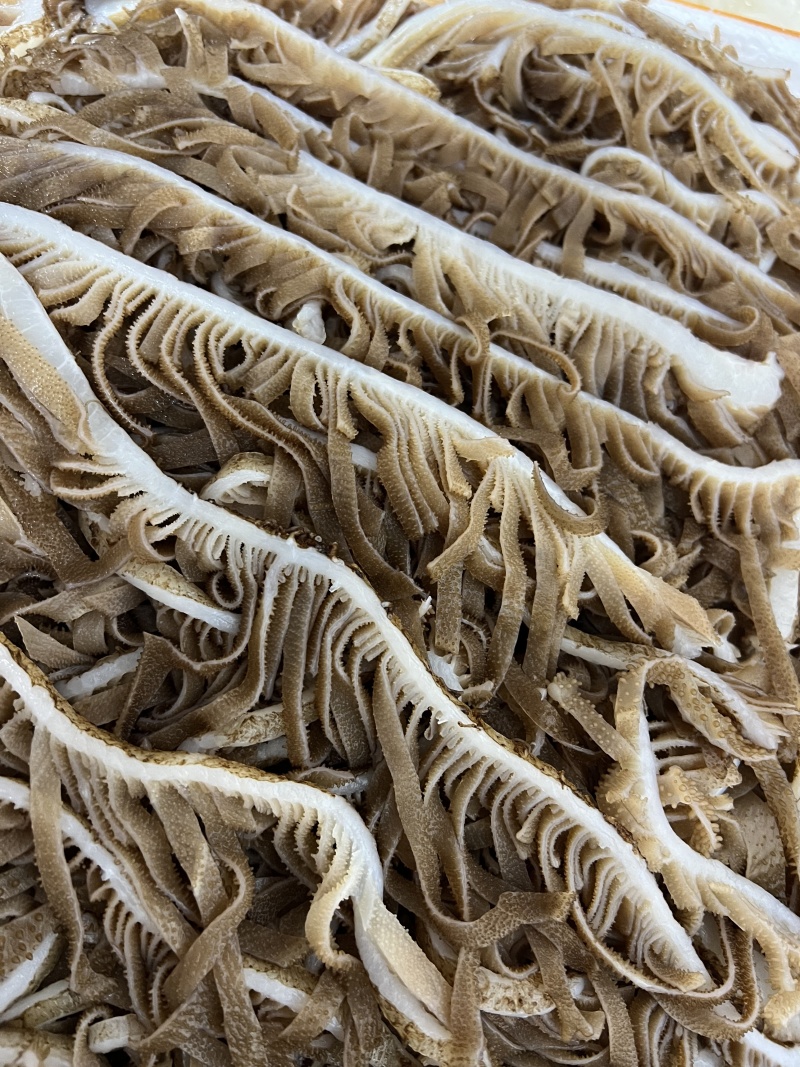 四川水煮牛副产品/千层毛肚/可做火锅食材/量大价优