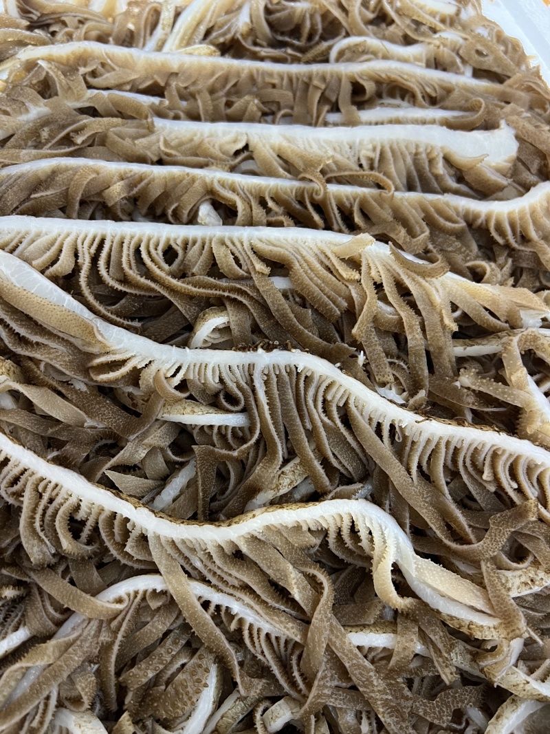 牛副产品/精品茶千层毛肚/诚信经营/保质保量/一手货源