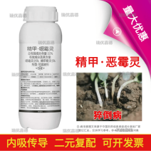30%精甲恶霉灵甜瓜猝倒病根腐病土传病害精甲霜灵恶霉灵