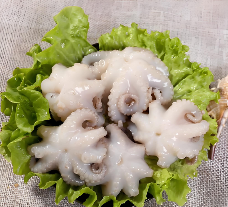 八爪鱼