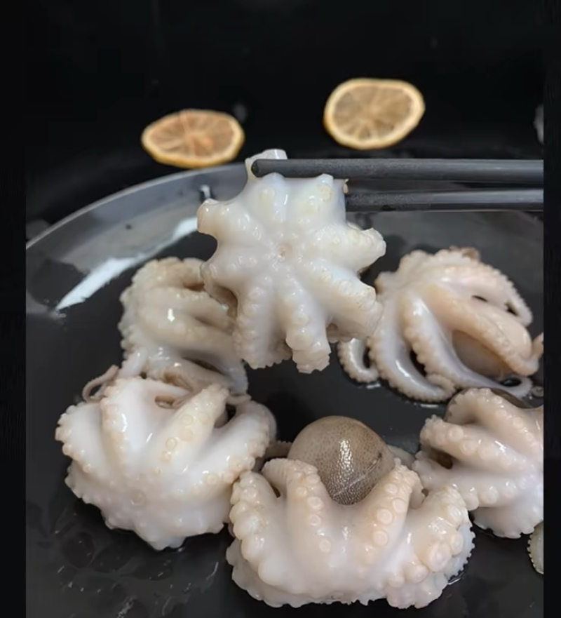 八爪鱼